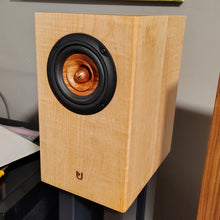Inner Soul v4se Monitor Speakers