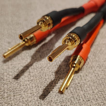 Solid Link v2 speaker cables, 6 ft pair