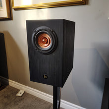 Inner Soul v4 Monitor Speakers