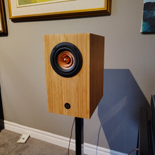 Inner Soul v4 Monitor Speakers