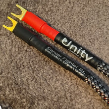 Cancer Fighter™ SL Biwire Speaker Cables