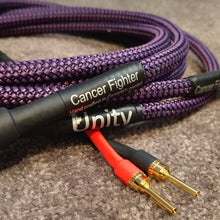 Cancer Fighter Speaker Cables