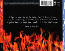 Paula Cole – This Fire CD