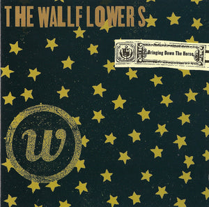 The Wallflowers – Bringing Down The Horse CD