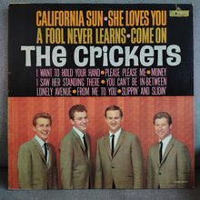 The Crickets – California Sun / She Loves You LP