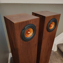 Inner Soul v4se tower speakers, walnut