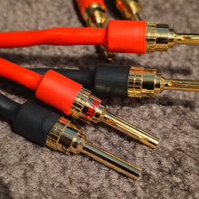 Solid Link™ v2 Speaker Cables