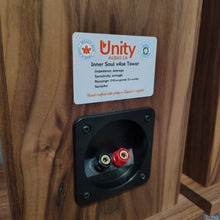 Inner Soul v4se tower speakers, walnut