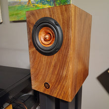 Inner Soul v4se Monitor Speakers