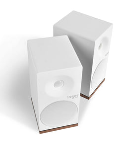 Tangent Spectrum X4 speakers