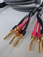 Basic Link Biwire Speaker Cables