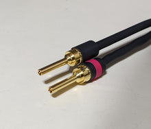 Cancer Fighter™ SL Biwire Speaker Cables